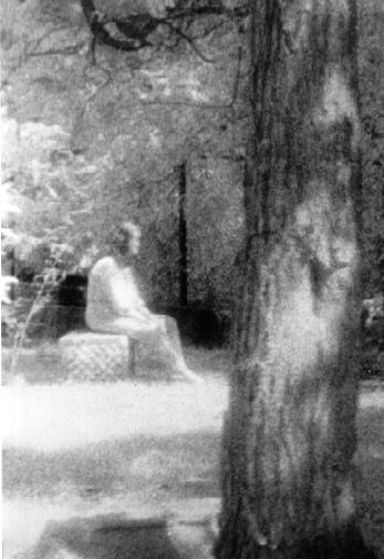 ghost3.jpg